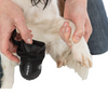 Trixie Walker Active Protective Boots For Dogs - Black - ( 2 Boots Covers 2 Paws Only)4