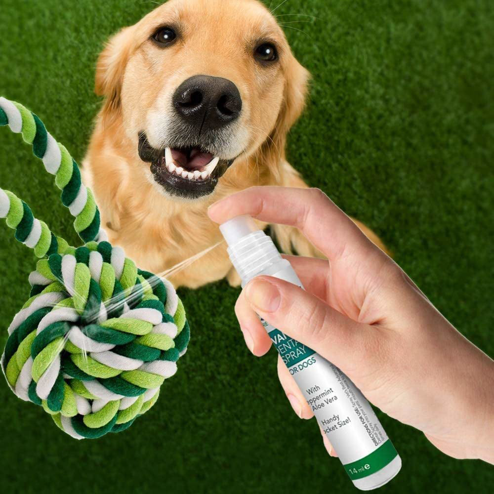 Vet's Best Advanced Dental Spray & Floss Ball for Dogs - 14 ml - Heads Up For Tails