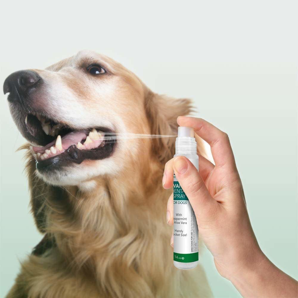 Vet's Best Advanced Dental Spray & Floss Ball for Dogs - 14 ml - Heads Up For Tails