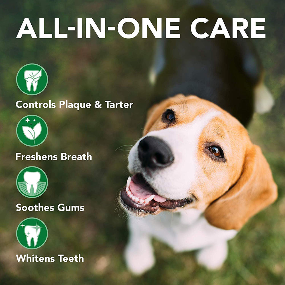 Vet's Best Advanced Dental Spray & Floss Ball for Dogs - 14 ml - Heads Up For Tails