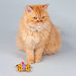 HUFT Meow Monsters Butterfly Cat Toy Made from Recycled Cotton - Heads Up For Tails