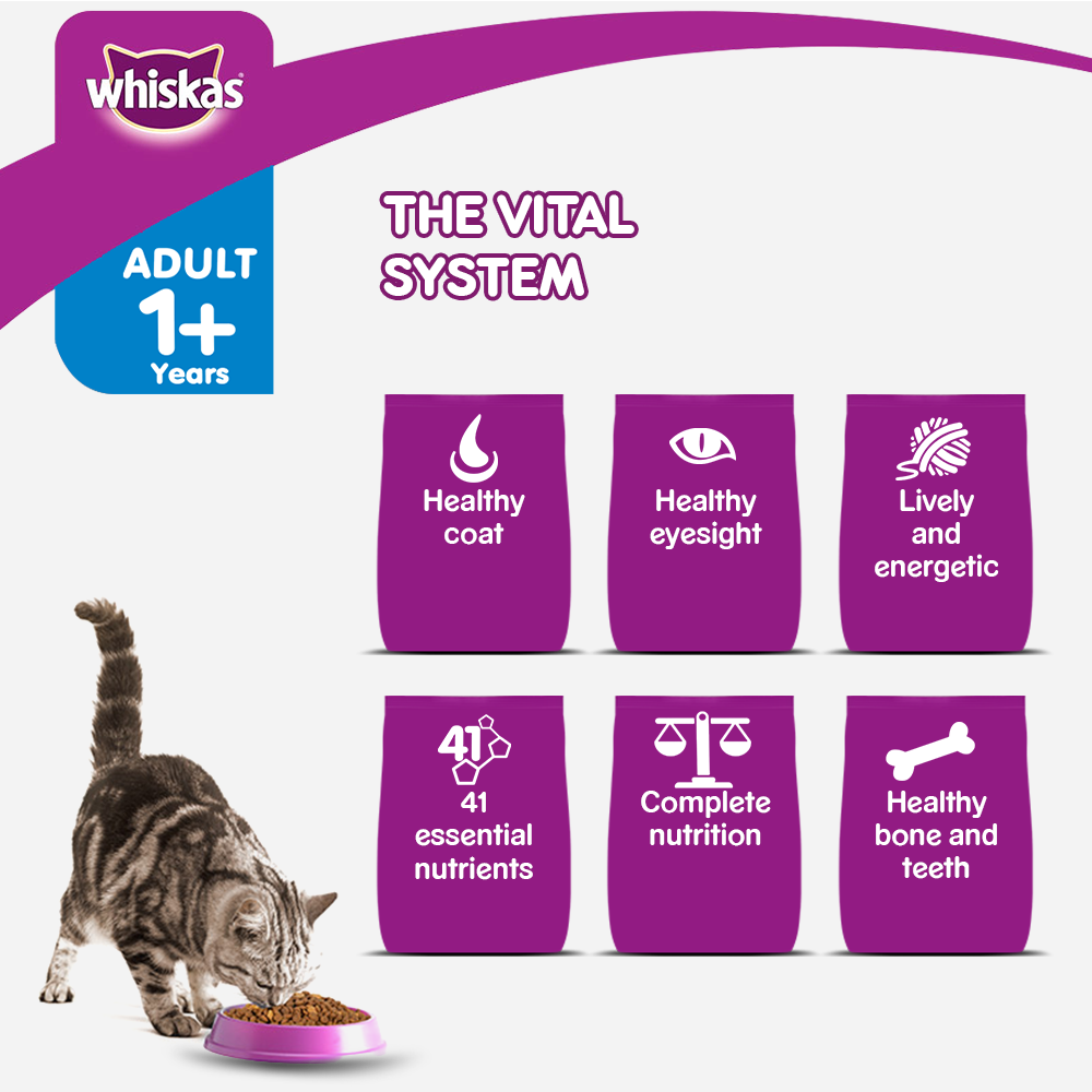 Whiskas Ocean Fish Adult Dry Cat Food - Heads Up For Tails