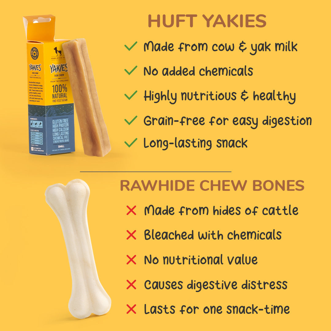 Healthy dog shop bones that last