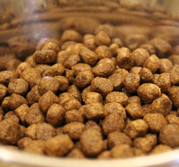 Acana Wild Coast Fish Formula Dry Dog Food - All Breeds & Ages_05