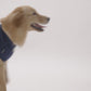 HUFT Personalised Labradorable (Pet's Name) Bandana