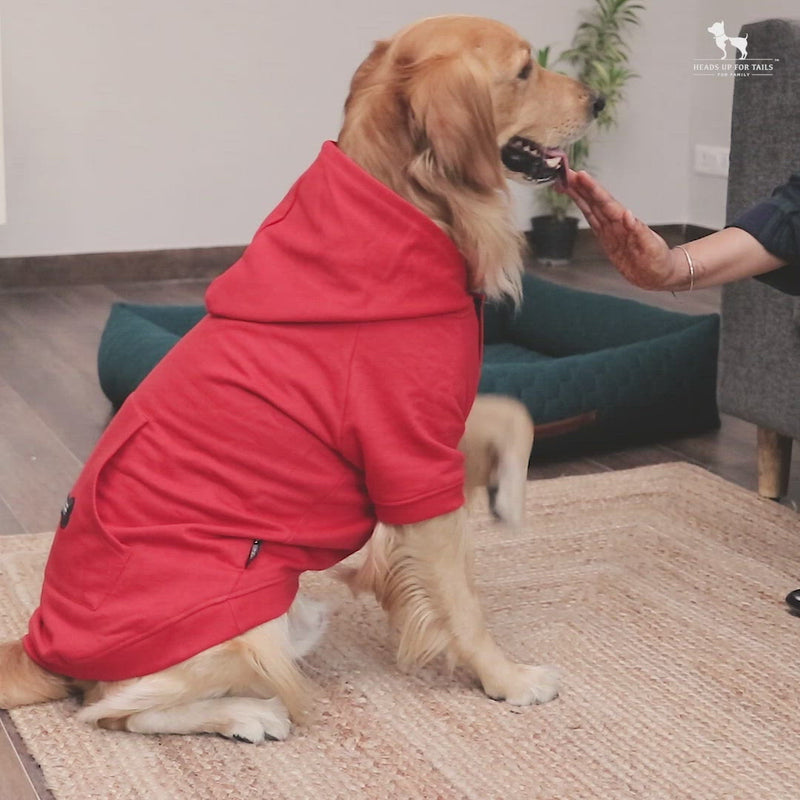 HUFT Cozy Pupper Dog Jacket - Blue