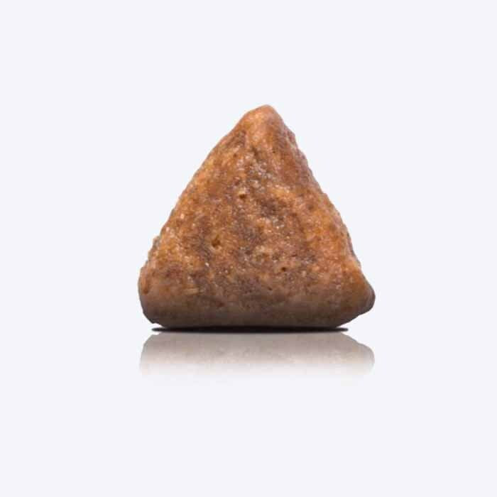 Arden Grange Grain Free Fresh Chicken & Potato Dry Kitten Food - Heads Up For Tails