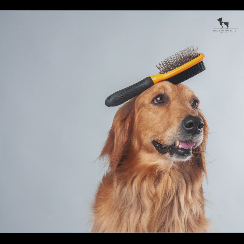 HUFT Double Sided Brush for Dogs & Cats - Orange