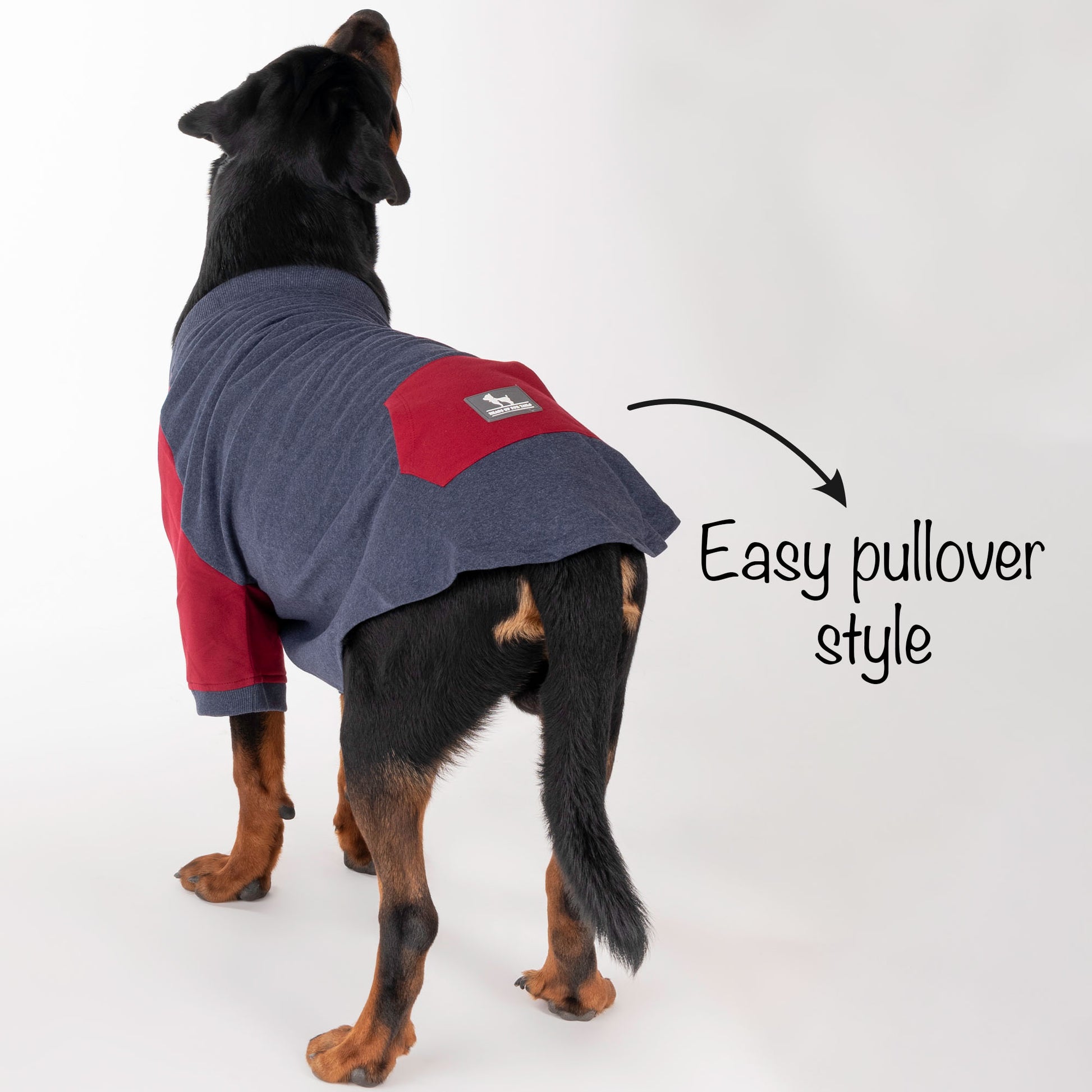 HUFT Colour Block Pocket Pet Sweatshirt - Blue Melange and Red - Heads Up For Tails