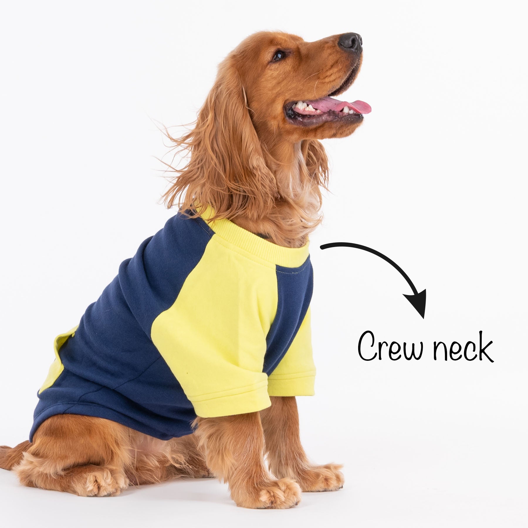 HUFT Colour Block Pocket Pet Sweatshirt - Neon Lime and Navy - Heads Up For Tails