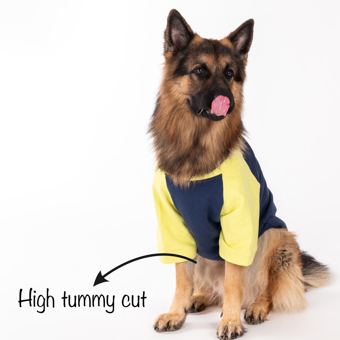 HUFT Colour Block Pocket Pet Sweatshirt - Neon Lime and Navy - Heads Up For Tails