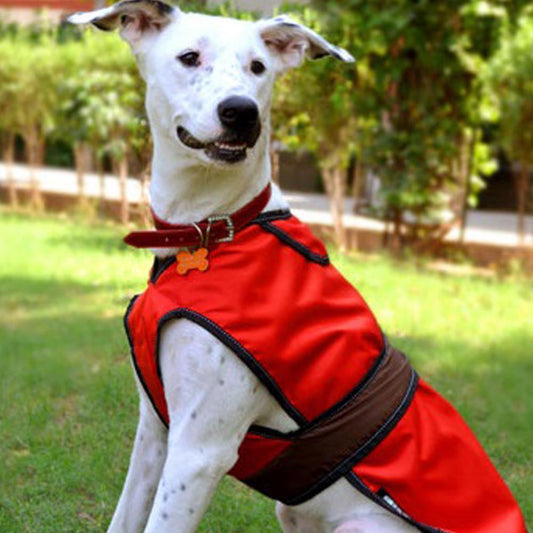 HUFT Gladiator 2-in-1 Dog Jacket - Heads Up For Tails