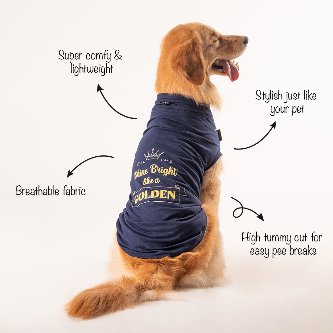 HUFT Shine Bright Like A Golden T-shirt - Heads Up For Tails