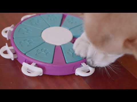 Outward Hound (Nina Ottosson) Dog Twister - Interactive Dog Toy (Level 3) Video