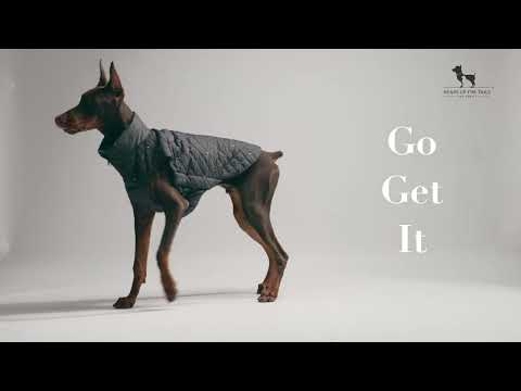HUFT Luxe Stud Quilted Jacket For Dogs - Silver