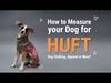 HUFT Sports Captain Dog T-Shirt