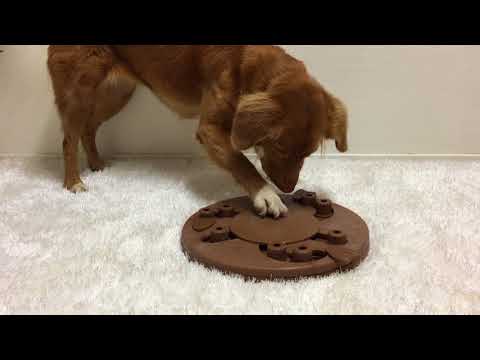 Outward Hound (Nina Ottosson) Dog Worker Composite - Spin, Scoot & Treat - Interactive Dog Toy - Level 3