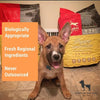Orijen Dry Puppy Food (All Breeds)6