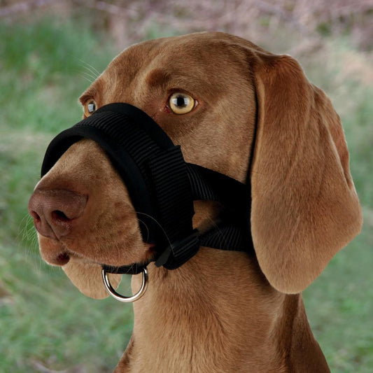Trixie Nylon Muzzle Loop for Dogs