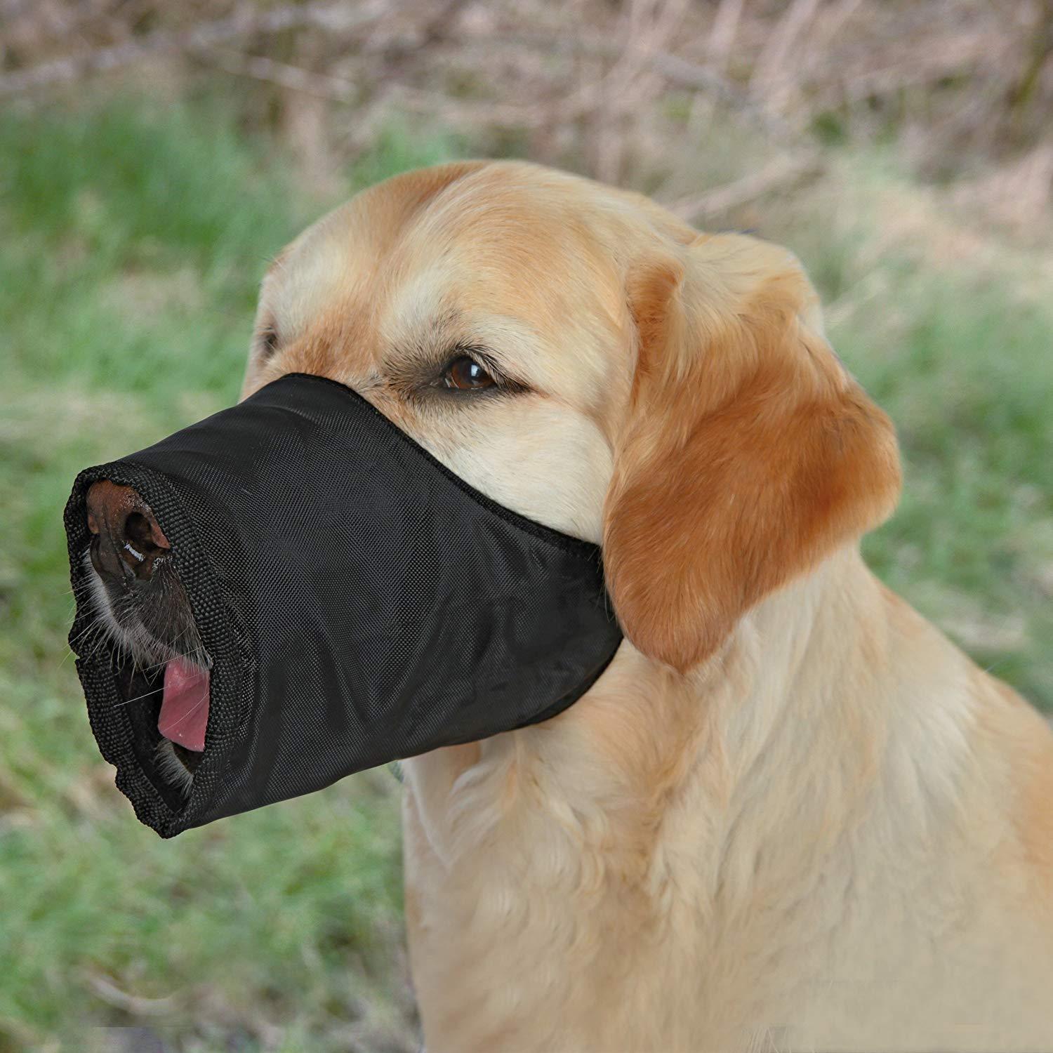 Trixie Polyester Muzzle for Dogs - Heads Up For Tails