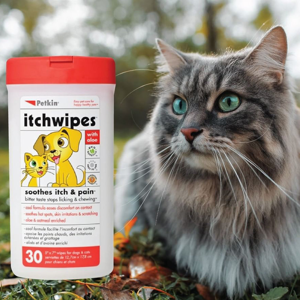 Petkin Itch Wipes for Dogs and Cats 30 Wipes Dog Grooming