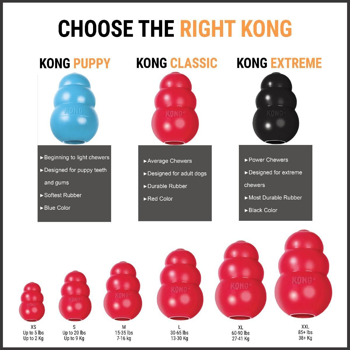 KONG Puppy Interactive Chew Toy - Heads Up For Tails