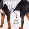 HUFT Luxe Stud Quilted Jacket For Dogs - Mat Silver - Heads Up For Tails