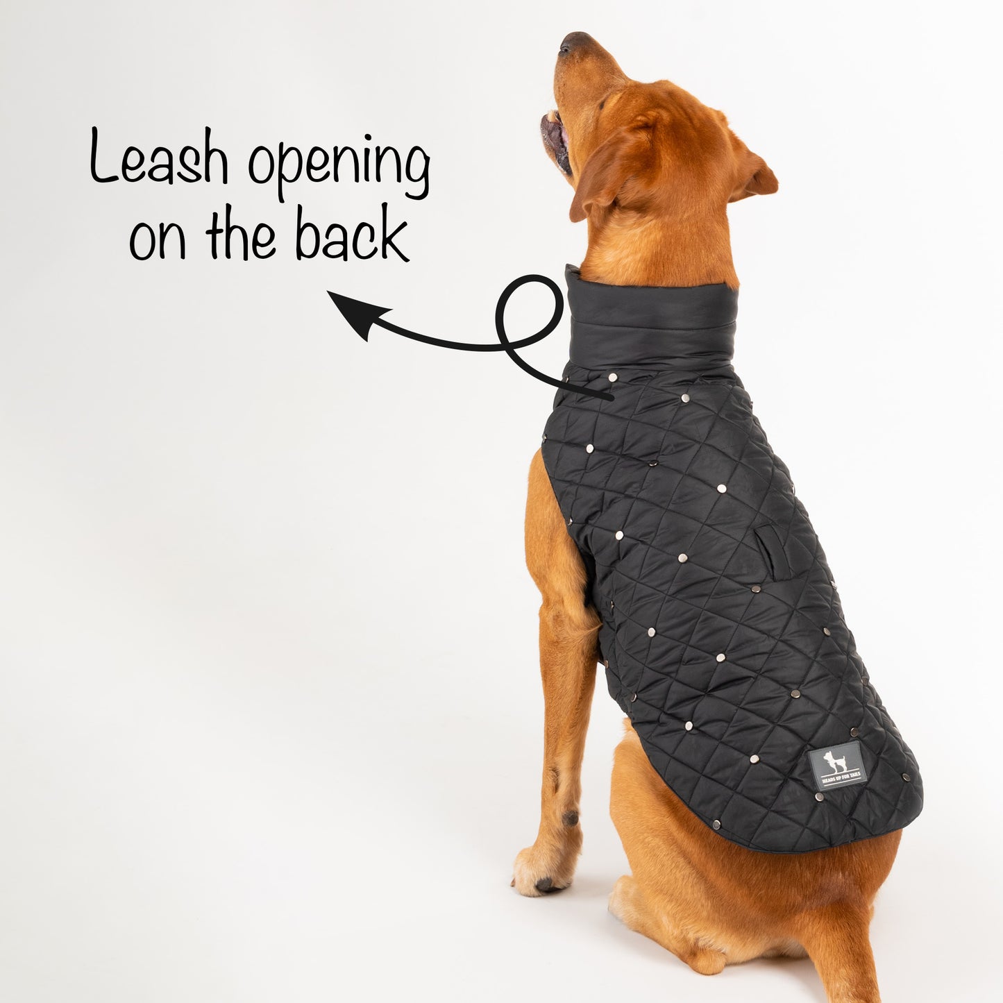 HUFT Luxe Stud Quilted Jacket For Dogs - Black - Heads Up For Tails