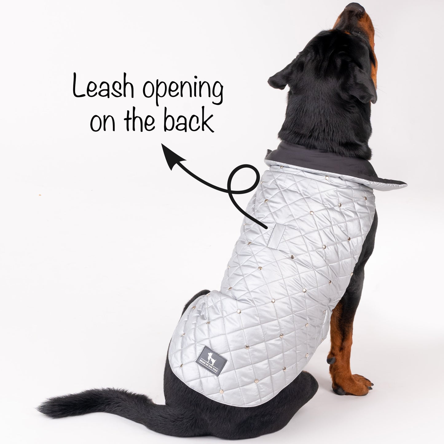 HUFT Luxe Stud Quilted Jacket For Dogs - Mat Silver - Heads Up For Tails