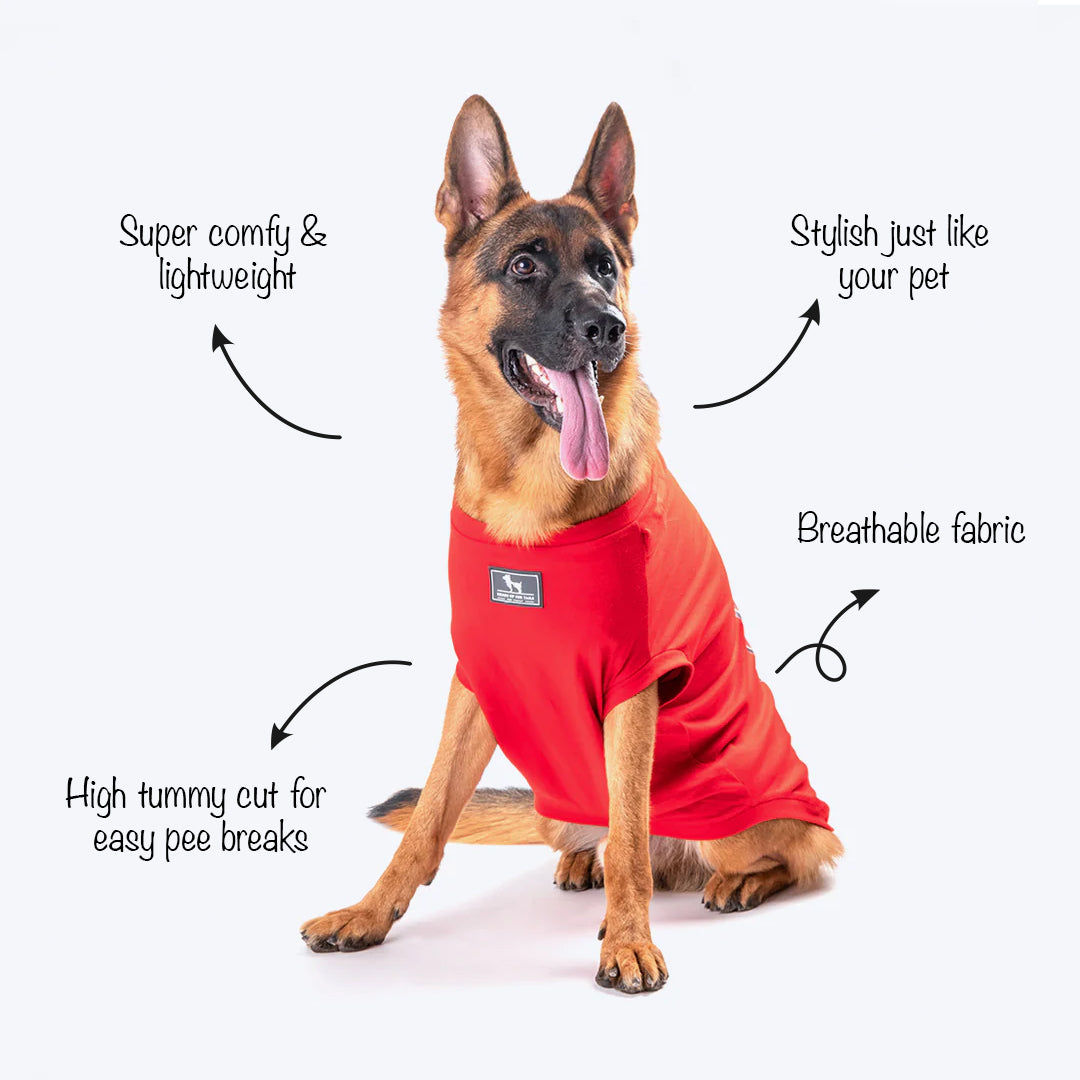 HUFT Momma's Shepherd T-shirt - Heads Up For Tails
