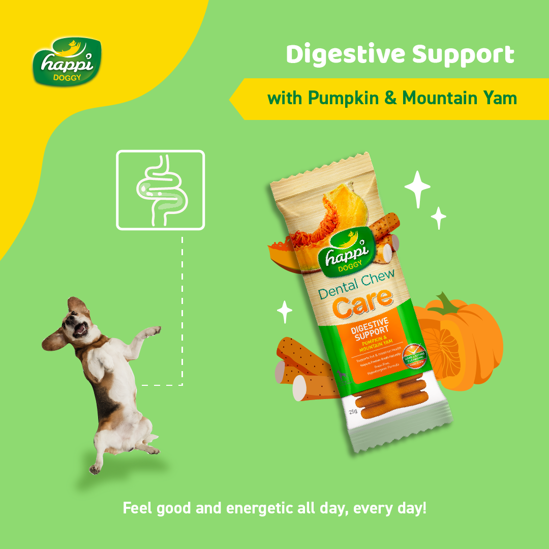 Happi Doggy Vegetarian Dental Chew - Care (Digestive Support) - Pumpkin & Mountain Yam - Petite - 2.5 inch -150 g - 18 Pieces-2