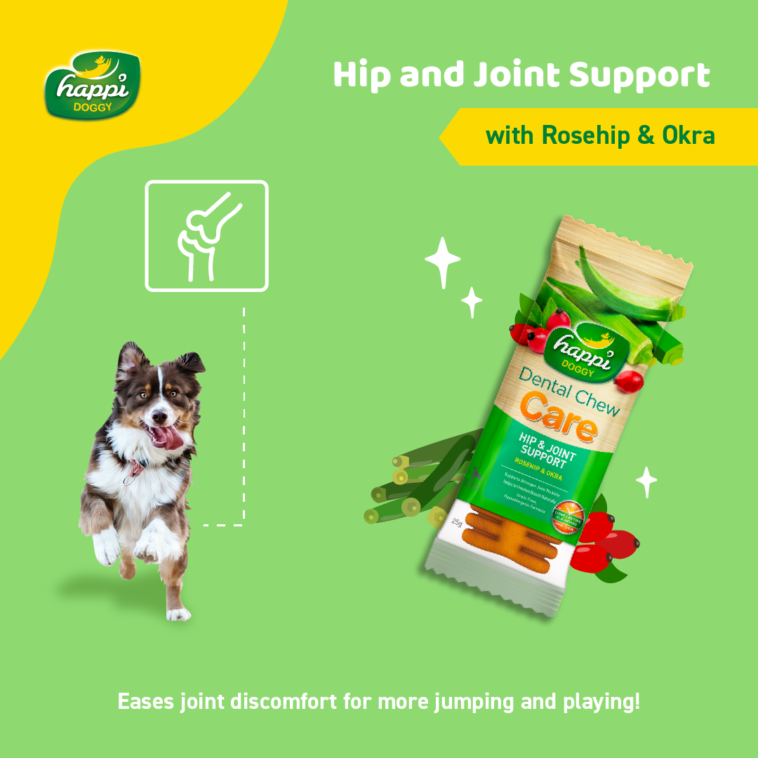Happi Doggy Vegetarian Dental Chew - (Hip & Joint Support) Rosehip & Okra - Singles - 23 g-5