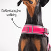 HUFT Easy On Dog Harness - Pink - Heads Up For Tails