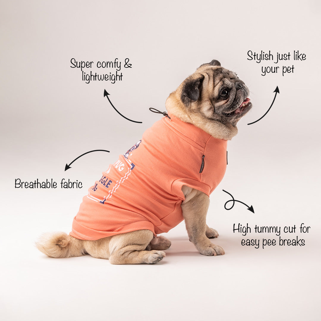 HUFT This Pug Is A Snuggle Bug T-shirt - Heads Up For Tails