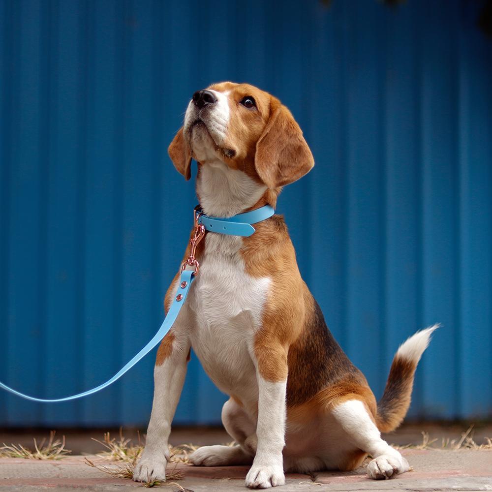 HUFT Pastel Pawprint Rain Friendly Dog Leash - Blue2