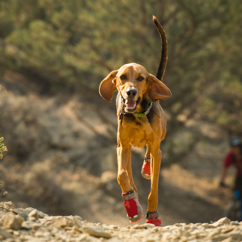 Ruffwear Grip Trex Dog Shoes (Set of Two) - Heads Up For Tails