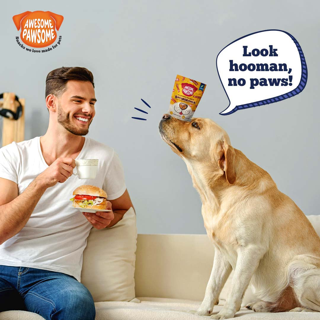 Awesome Pawsome Peanut Butter & Cranberry Dog Treat - 85 g - Heads Up For Tails